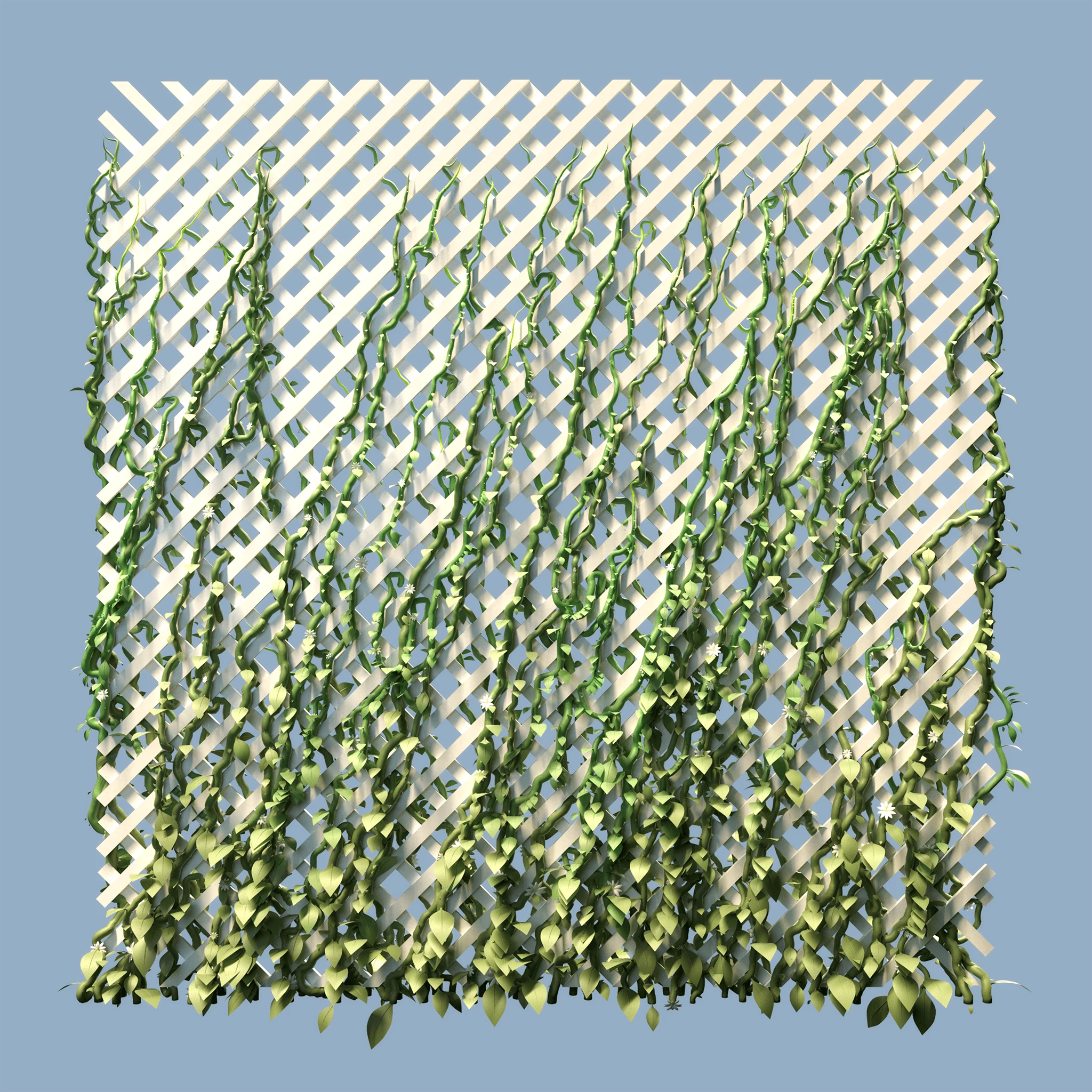 Final render of vines climbing wooden lattice